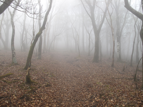 20181205hike (152)